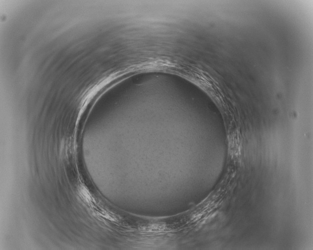 X0000055990196200508261733