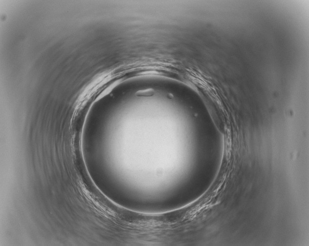 X0000055990197200508261733