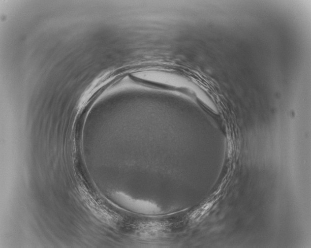 X0000055990198200508261733