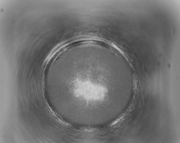 X0000055990199200508261733