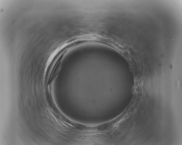 X0000055990200200508261733