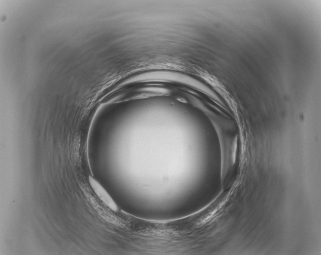 X0000055990201200508261733