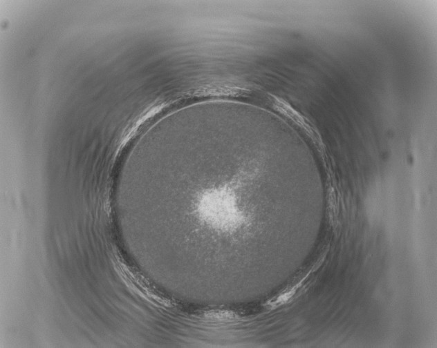 X0000055990203200508261733