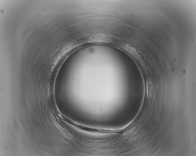 X0000055990204200508261733