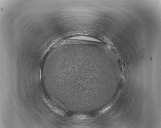 X0000055990205200508261733