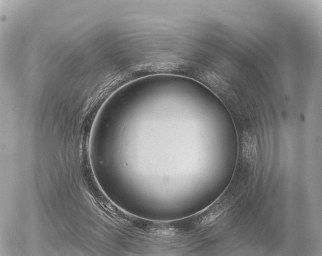 X0000055990206200508261733