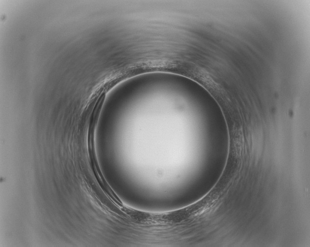 X0000055990207200508261733