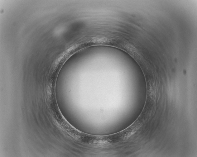 X0000055990208200508261733