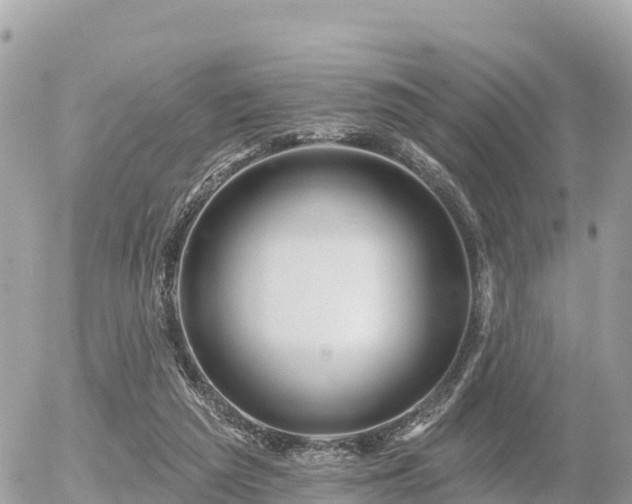 X0000055990209200508261733