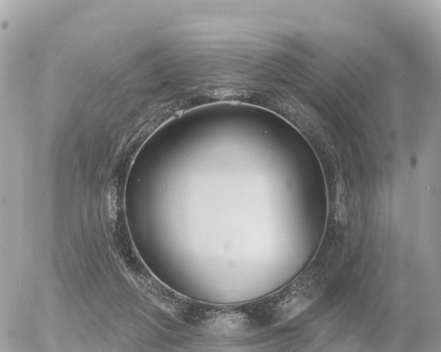 X0000055990210200508261733