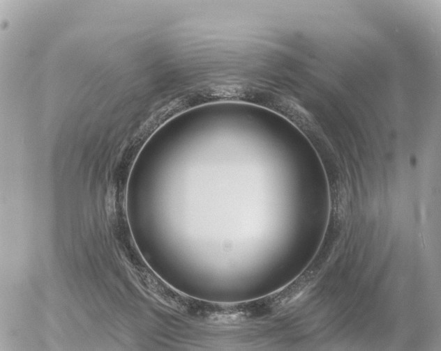 X0000055990213200508261732