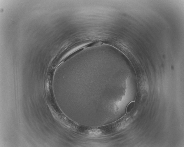 X0000055990214200508261732