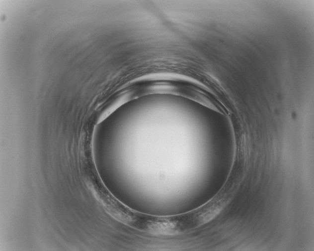 X0000055990217200508261732