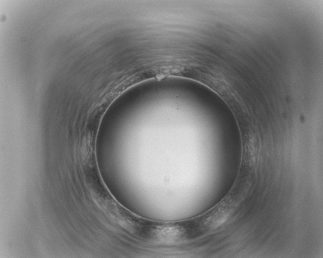 X0000055990218200508261732