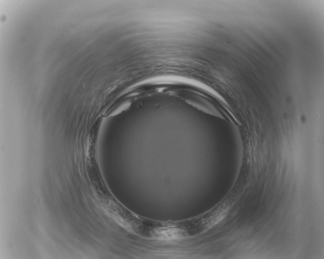 X0000055990219200508261732