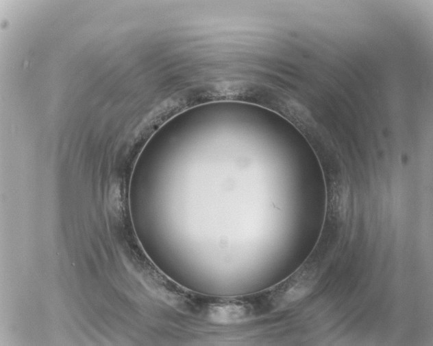 X0000055990220200508261732