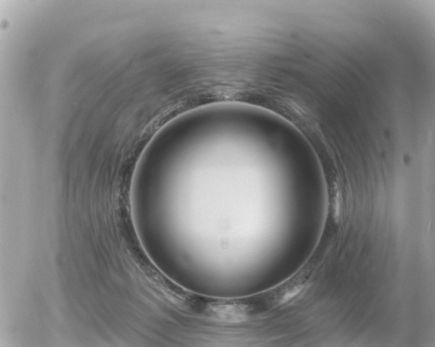 X0000055990221200508261732