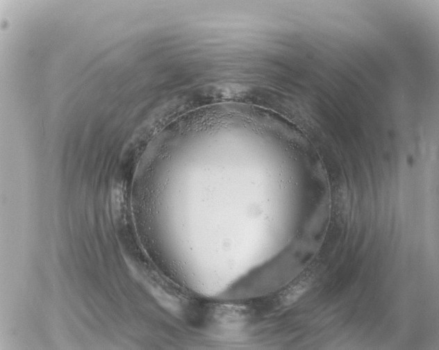 X0000055990222200508261732