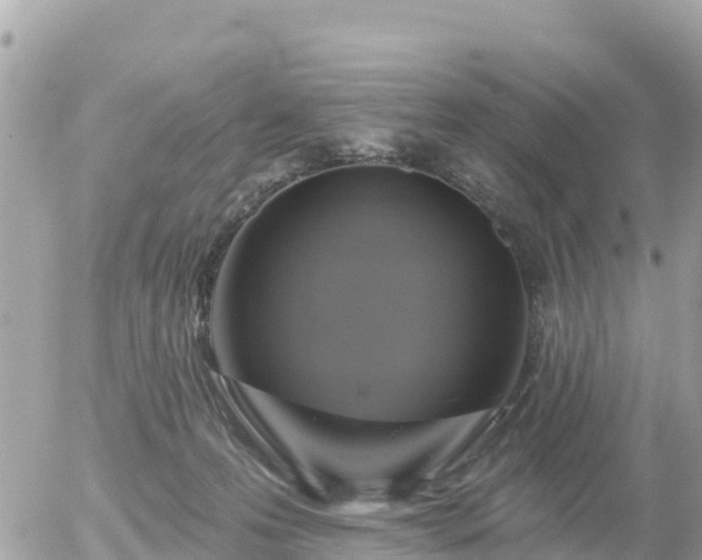 X0000055990223200508261732