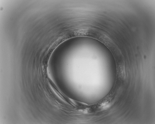 X0000055990224200508261732