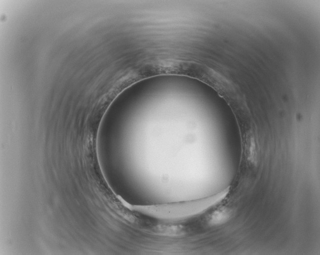 X0000055990225200508261732