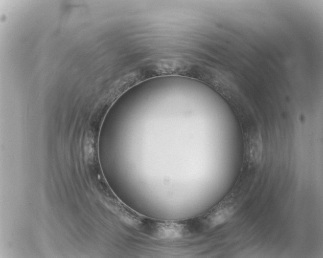 X0000055990226200508261732