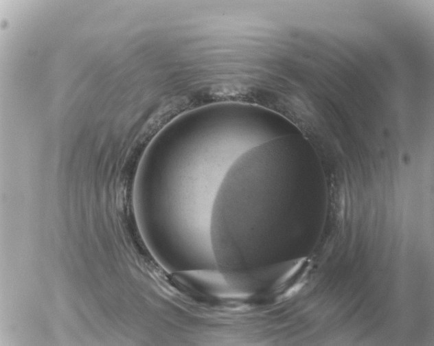 X0000055990227200508261732