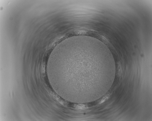 X0000055990230200508261732