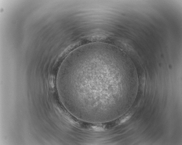 X0000055990232200508261732