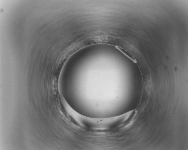 X0000055990233200508261732