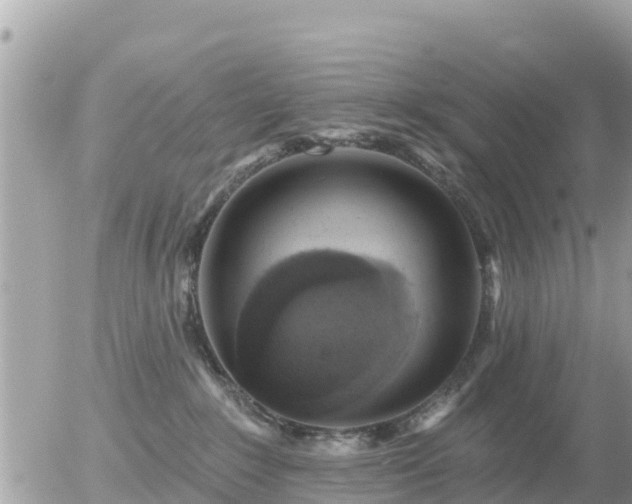 X0000055990235200508261732