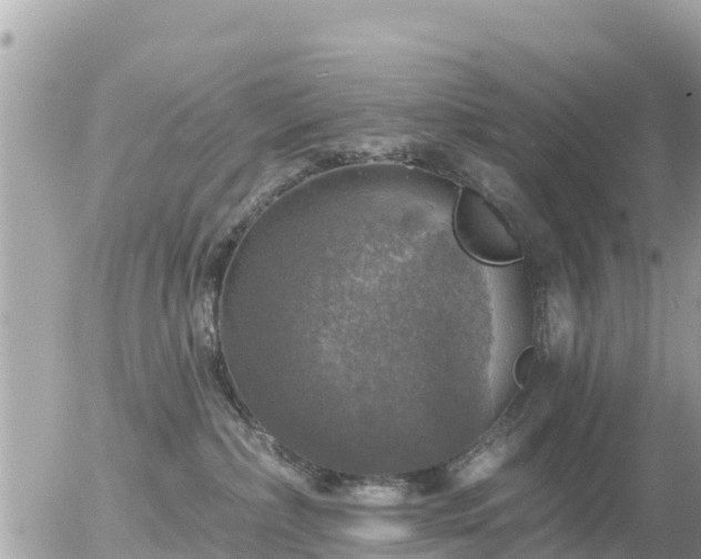 X0000055990236200508261732