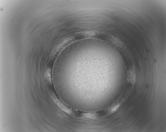 X0000055990238200508261732