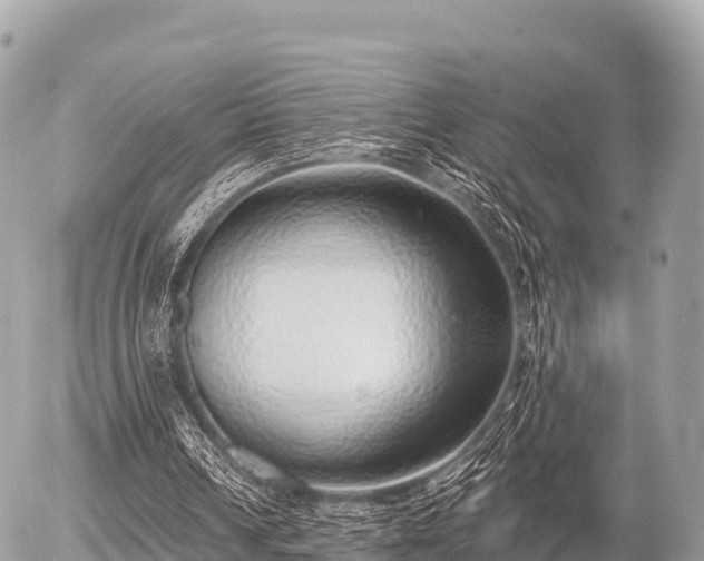 X0000055990242200508261731