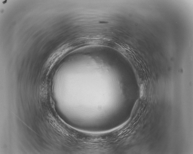 X0000055990243200508261731