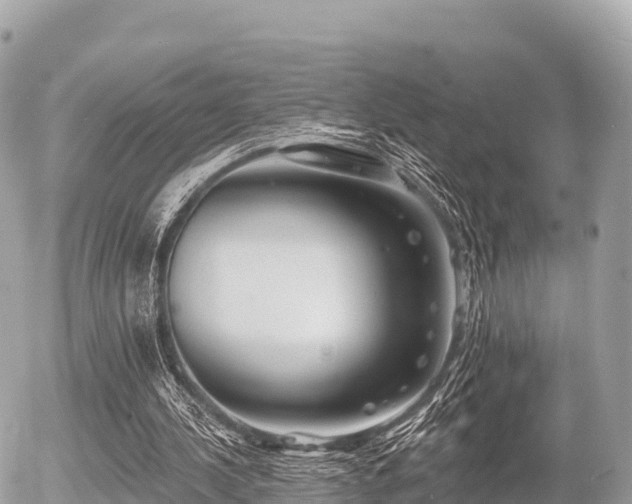 X0000055990244200508261731