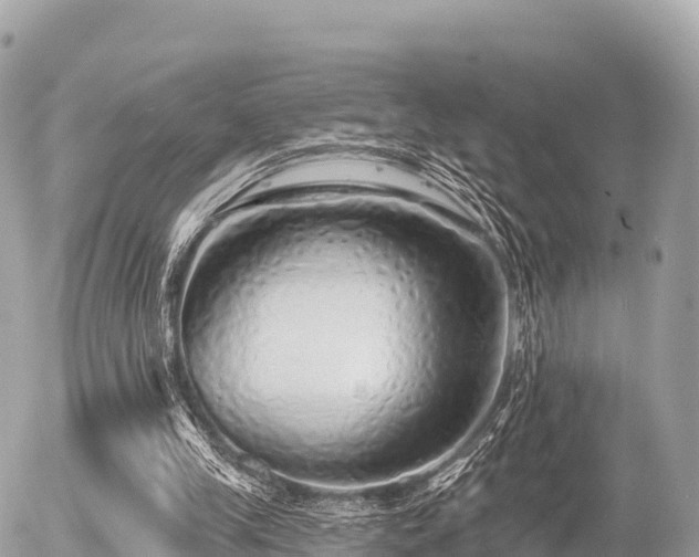 X0000055990245200508261731