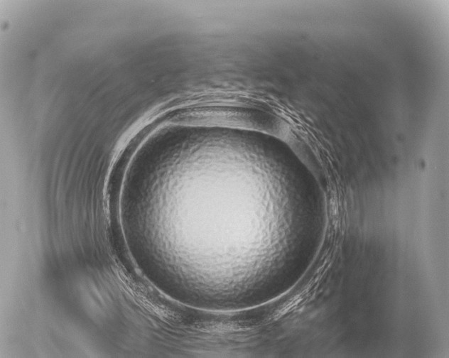 X0000055990246200508261731