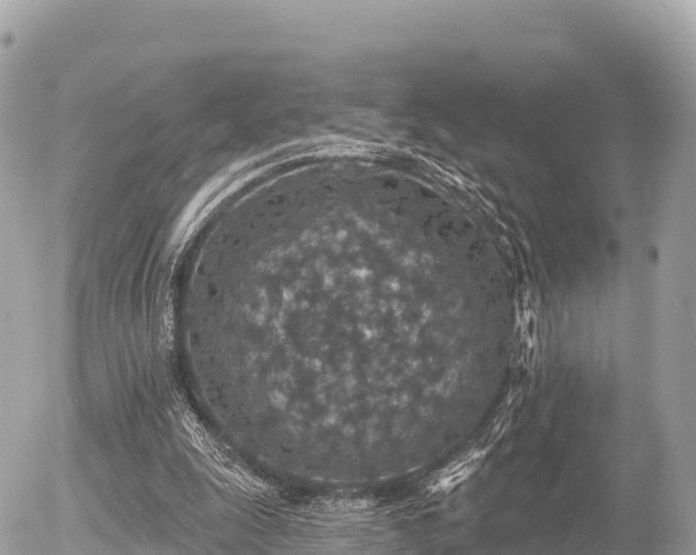 X0000055990247200508261731