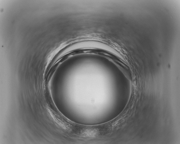 X0000055990248200508261731