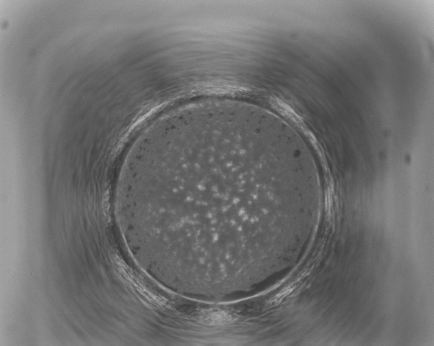 X0000055990249200508261731