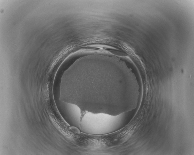 X0000055990250200508261731