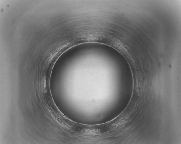 X0000055990251200508261731