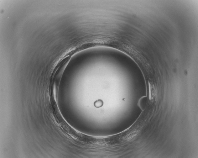 X0000055990252200508261731