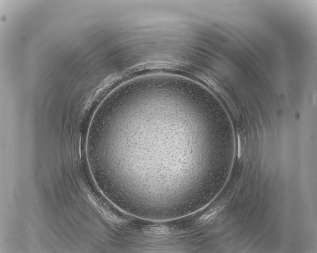 X0000055990253200508261731