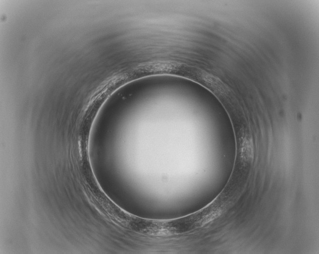 X0000055990254200508261731