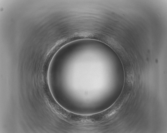 X0000055990256200508261731