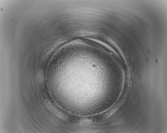 X0000055990257200508261731