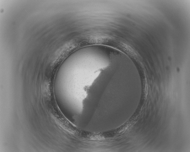 X0000055990258200508261731