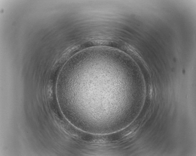 X0000055990259200508261732